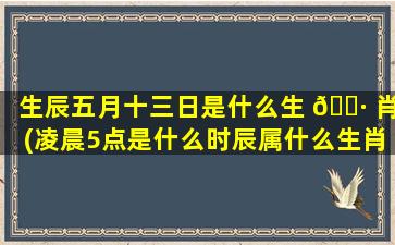 生辰五月十三日是什么生 🕷 肖(凌晨5点是什么时辰属什么生肖)